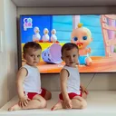@aris.loris