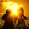 romaandtanya