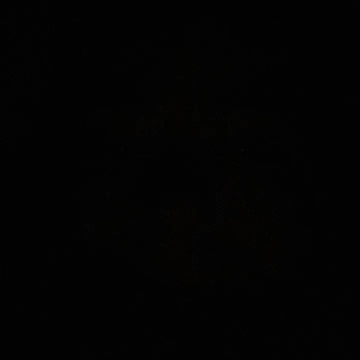 carolineyaps