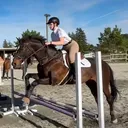 @bem_equestrian