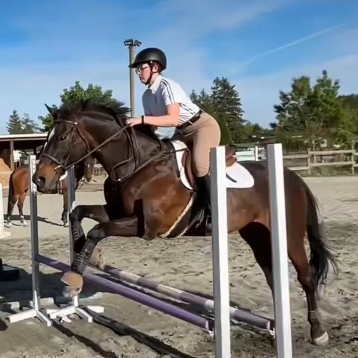 bem_equestrian