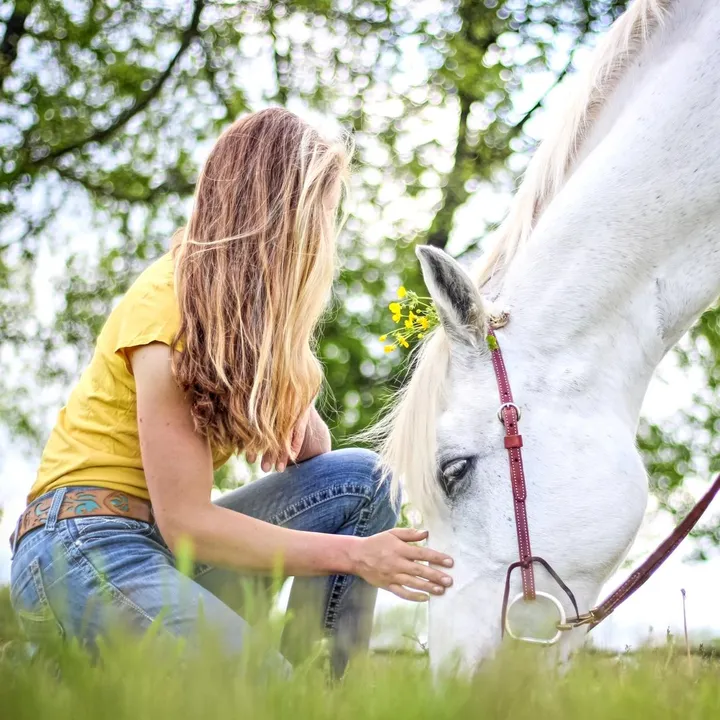 thechoiceequestrian
