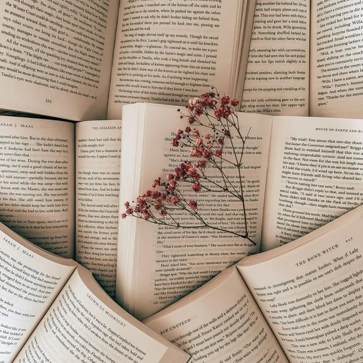 ashleybooksandmore