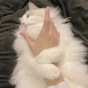 @brotherkiladly
