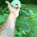 @kings_man30