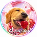@asher_shai