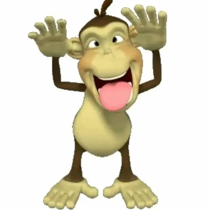@funkymunky456