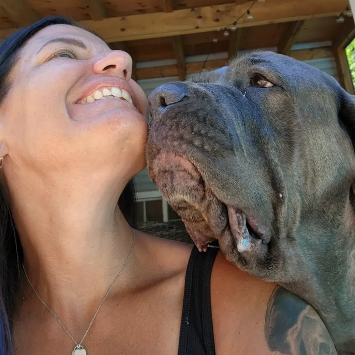 canadadogmom