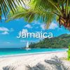 travelbucksofficial