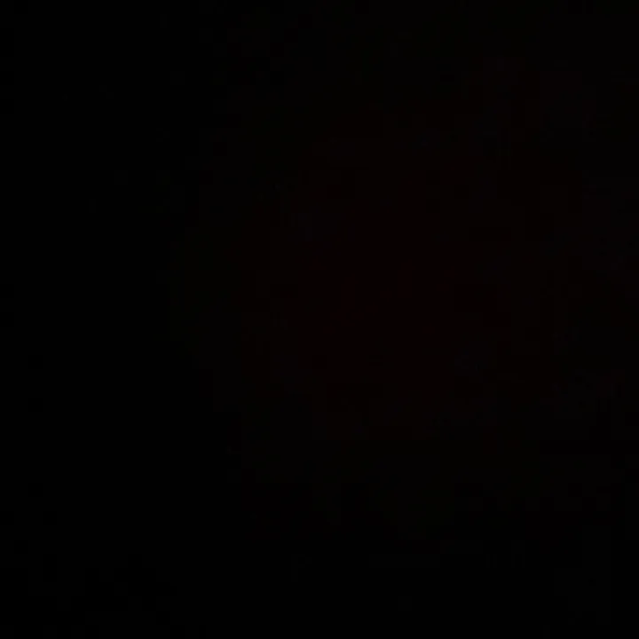 @jaydenvaj