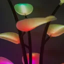 @fluoraplant
