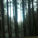 @yukimio.jpg
