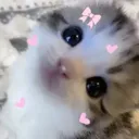 @moon_light_2357