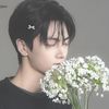 _.ice._princess