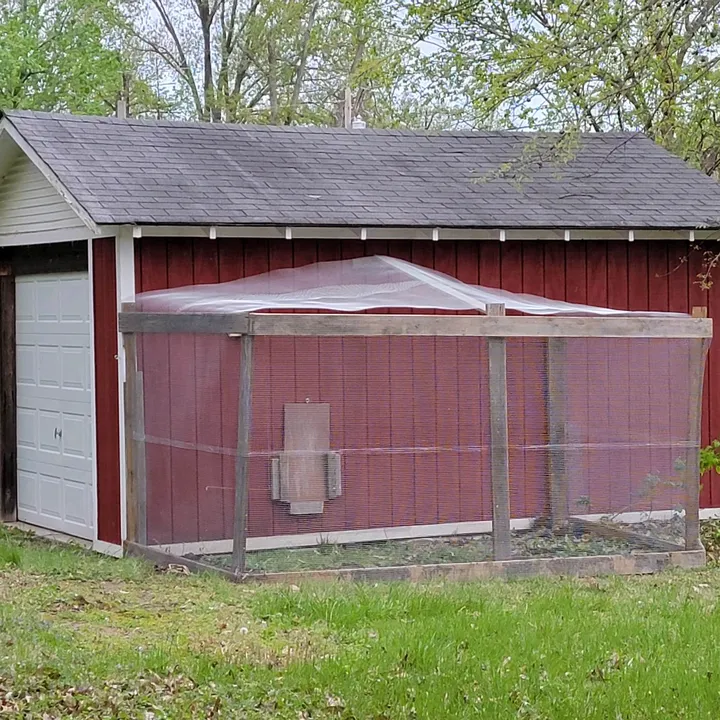 citychickenfarm