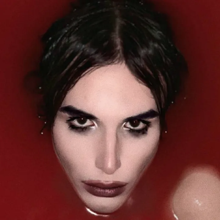 vichygan
