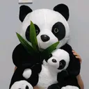 @panda_huthut