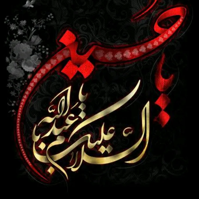 qalababbas478