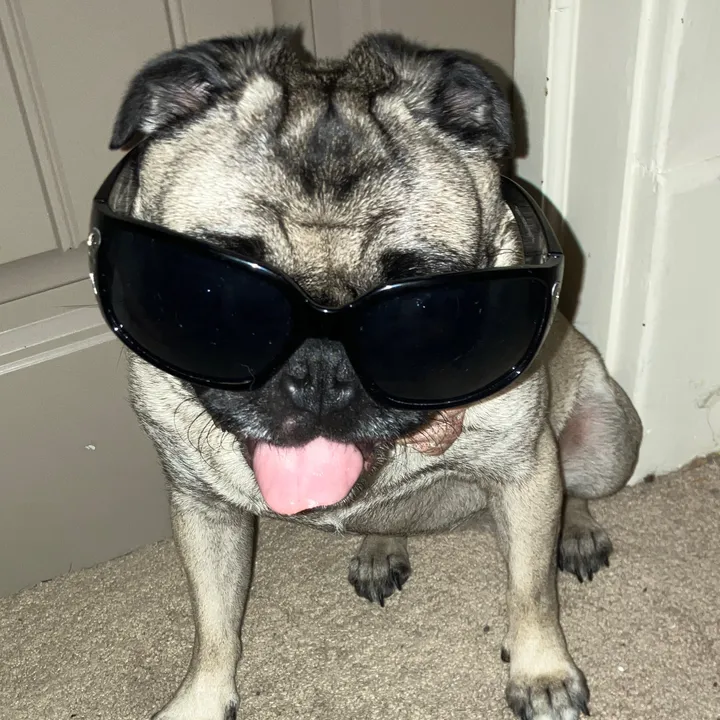 @pippaisapug