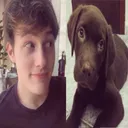 @dannygetajob