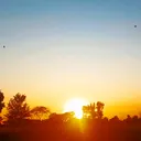 @ranjha.vlog