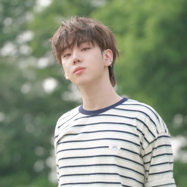 clover_dongg