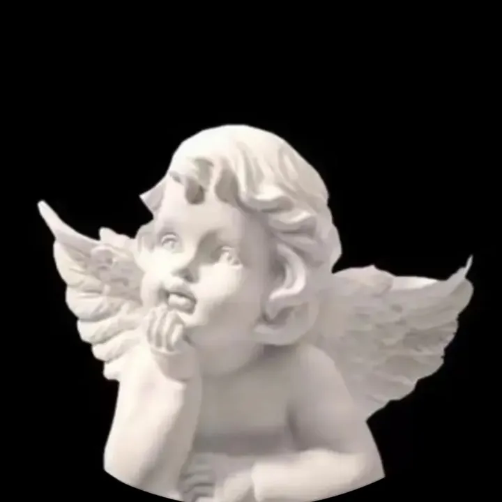 .oocy