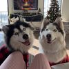 winnie.and.wookie