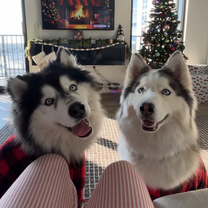 winnie.and.wookie