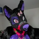 @tylerwusky