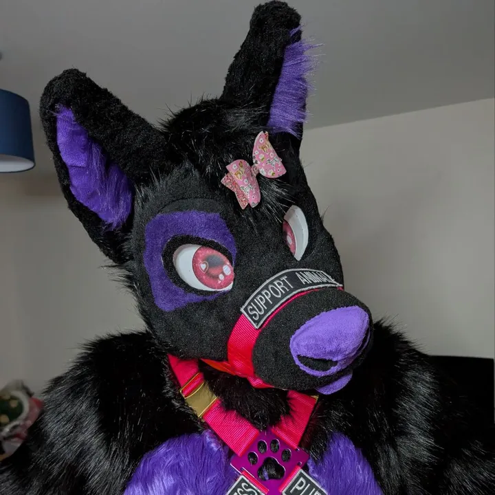 tylerwusky