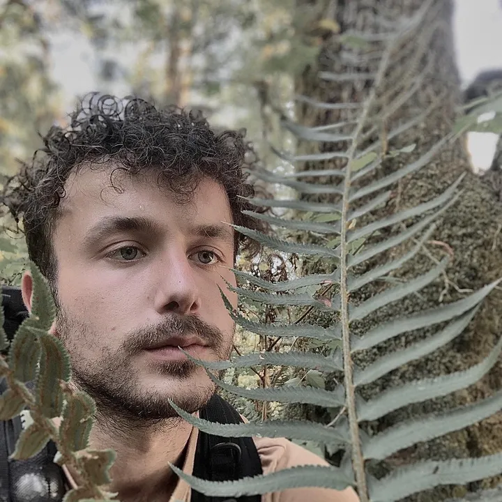 @plantaesisage