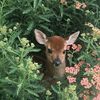 no_namehere0.8