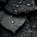@reza.20012