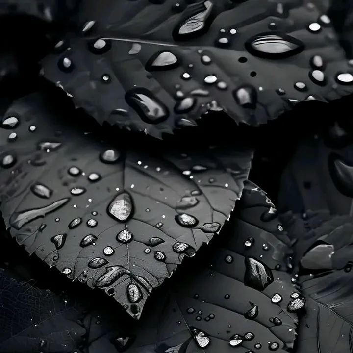 @reza.20012