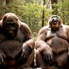 squatchfriends