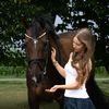 leonas_ponyhof
