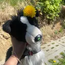 @fluffy_tails_essacom