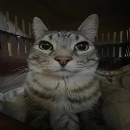 @kst4rzzz
