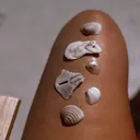 @shellsandsunsets