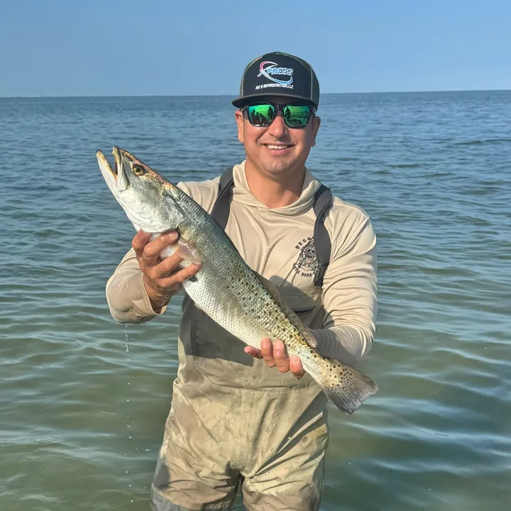 @losganchadosfishing956