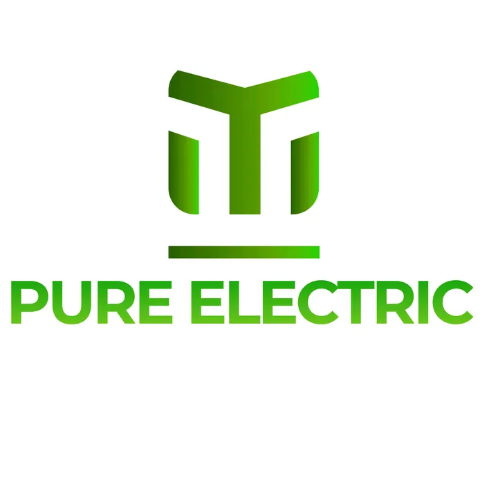 pur_electric_fara_permis