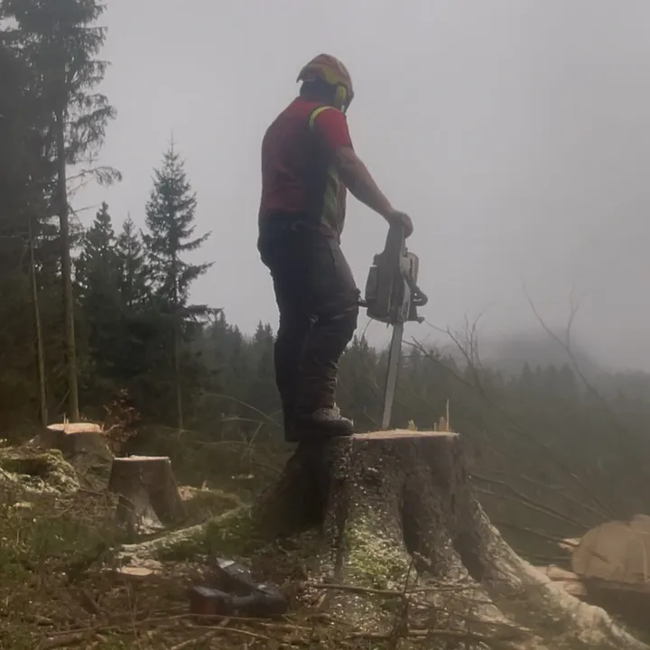 diggiling