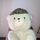 @spnaadkmanhm