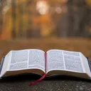 @scripture.encourag