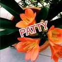 @numero1patty