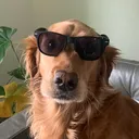 @riley_the_nugget