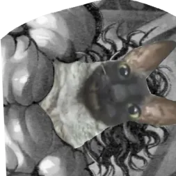 pidorasinanikita