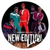 newedition.live