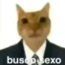 @wazabico